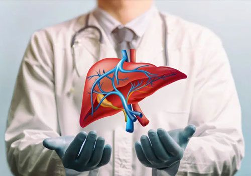 Liver Transplant